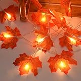 Bigzom 3M Ahornblatt Lichterkette, 20LED Herbst Lichterketten Ahornblatt Girlande Herbst Deko Batteriebetrieben Blättergirlande Lichter für Erntedankfest,Halloween,Weihnachten,Party