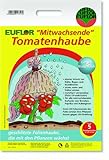 EUFLOR Tomatenhaube mitwachsend UV-stabil 5 Stück Schwarz 1,25 m