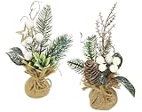Künstliche Mini Weihnachtsbäume mit Beeren Zapfen Stern Tannenzweige im Jute-Topf 23cm 2er Set Gesteck Kunstblume Winterblume Blume Pflanze Zweige Weihnachtsdeko Tischdeko Tannengesteck Blumenschmuck