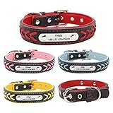 Gredstar Halsband hund Personalisierte Hundehalsbänder mit D-Ring Leder Hundehalsband Namensschild