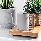 IMEEA 1L Gießkanne Zimmerpflanzen Gießkanne Klein Indoor Gießkannen Edelstahl Moderner Deko Giesskanne mit Langem Auslauf für Pflanze Blumen Bonsai Outdoor Garten (Weiß