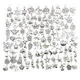 PLABBDPL Schmuck Anhänger Set, 100pcs Gemischte Charms Silber, Schmuckanhänger zum Basteln,Ohrringe Selber Machen Perlen,Charm Armband Selber Machen,Charm Anhänger Schmuck Basteln,DIY Basteln Mädchen