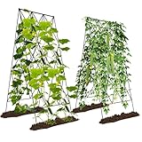 Ytaoeo Metall Gurke Rankgitter Tomaten Rankhilfe Garten 2 Stück, Spalier Gitternetz Kletterpflanzen Pflanzenstütze für Blumen & Nutzpflanzen, Einstellbare Breite, Schwarz