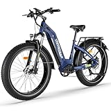 HANEVEAR Elektrofahrrad für Erwachsene, 21Ah 48V austauschbarer Akku, 250W 85Nm E Fatbike, Max. Reichweite 120km+, Doppelte Ölbremsen, E-Mountainbike 26x4.0'' Offroad EBIKE