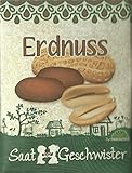 Die Stadtgärtner Erdnuss-Saatgut | Samen für Erdnüsse im Garten, Balkon oder Terrasse | zum Selbstpflanzen