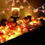 Herbst-Dekoration, Ahornblatt-Girlande, Herbstdekorationen für Zuhause, Herbstlichter, insgesamt 6 m, 40 LEDs, batteriebetrieben, Erntedankfest, Halloween-Dekoration, Ahornblätter, Lichterkette für