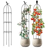 Griwuut Garten Rankhilfe 120 cm Obelisk Rankhilfe Abnehmbar,Pflanzenstütze Obelisk Rankgitter,Höhe Rankgitter Käfige,Geeignet für alle Kletterpflanzen
