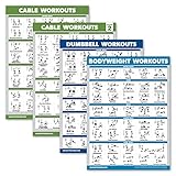 Palace Learning Kabelmaschinen-Workout-Poster, Band 1 & Band 2 + Hantelübungen + Körpergewichtsübungen (laminiert, 45,7 x 61 cm), 4 Stück