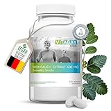 Vitabay Weihrauch 400 mg vegane Tabletten • 240 Weihrauchkapseln hochdosiert • Boswellia Serrata Kapseln hochdosiert • Weihrauch Kapseln hochkonzentriert • Weihrauch Kapsel Boswellia Weihrauch