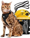 Tierhood Katzengeschirr mit Leine [Neue, LEICHTE Version] - Katzenleine mit Geschirr für Katzen und Kitten - Katzen Geschirr Set mit Leine - Kontrollierte Freiheit - Schwarz, Größe S