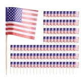 Reinscer 100 Amerikanische Flagge Zahnstocher Cupcake Dekoration Sandwich Mini Food Picks