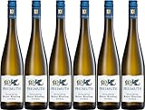 Freimuth Rheingau Riesling VDP.Gutswein 2023 Trocken (6 x 0.75 l)