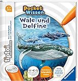 tiptoi® Wale und Delfine: Interaktive Lernspiele und Aufgaben (tiptoi® Pocket Wissen)