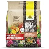 Neudorff NeudoHum Zitruserde 10L - torffreie mediterrane PflanzenErde - Bio Olivenbaum Erde für alle Mediterranpflanzen wie z.B. Palmen, Oleander und Zitronen - Zitruspflanzenerde ohne Torf
