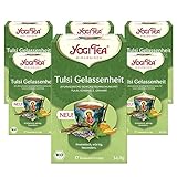 YOGI TEA, Tulsi Gelassenheit, Ayurvedischer Bio Kräutertee, von Natur aus koffeinfrei, Mischung aus Tulsi - 'heiligem' Basilikum, Süssholz und Orange, Yogi Tee 6er Pack, 6x17 Beutel (102 Teebeutel)