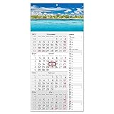 4-Monatskalender 2024 Karibik mit Streifenkalender 4 Monate Übersicht I 30 x 60 cm I Wandkalender I Jahresplaner mit Schieber I zum Aufhängen und Abreißen I Motiv Malediven blau Meer Strand I tr_169