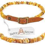 Natürlicher Zeckenschutz: Bernsteinkette für Hunde & Katzen - Hochwertiges Bernstein Halsband für Haustiere - Handgefertigt & Effektiv gegen Zecken und Flöhe (ORANGE Leder, 55-60 cm)