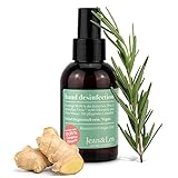 Jean & Len Desinfektionsmittel für Hände, Hautschonender Hand Sanitizer mit Pflege-Formel, für hygienisch reine Hände, Desinfektionsspray mit frischem Rosemary & Ginger Duft, 100 ml Reisegröße