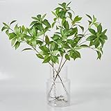 Avoeco Künstlicher Japonika-Blattzweig, fühlt Sich echt an, künstliche grüne Stiele für Zuhause, Büro, Hochzeit, Vasenfüller, Ladendekoration (10,2 cm, 73,7 cm hoch)