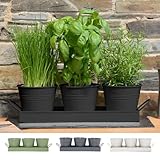 CKB LTD Set mit 3 Metall-Kräutertöpfen mit Abtropfschale, traditioneller Innenfensterbank, farbiger Pflanzkasten für die Küche, zum Anbauen Ihrer eigenen Kräuter zum Kochen (schwarz)