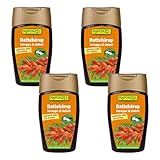 Rapunzel Bio Dattelsirup HIH, 4er Pack (4 x 250g) - BIO