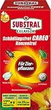 Substral Celaflor Schädlingsfrei Careo Konzentrat für Zierpflanzen, gegen Blattläuse, Buchsbaumzünsler, etc. 250 ml