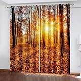 Wycian Curtains Living Room Ösen Gardinen Braun Gelb 2 Er Polyester Herbstwald und Abendlandschaft H214 X B96Cm für Schlafzimmer