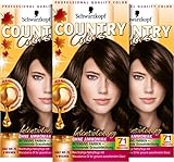 Country Colors Intensiv-Tönung 71 Kakao Dunkelgoldbraun (3 x 123ml), Stufe 2, temporäre Haarfarbe für intensive Ergebnisse, Coloration hält bis zu 8 Wochen, ohne Ammoniak