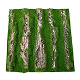 Habitat Schildkröte Hintergrund - Reptilienverhaftung, Terrariumszenarien Poster | Realistische Wüstenlandschaft Hintergrund, wasserdichte Klebefolie mit Naturdruck für Hülle und Schildkröenkäfig