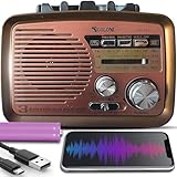 Retoo Radio Bluetooth FM Retro Nostalgie Radio Kofferradio Gehäuse in Holzoptik Vintage Radio Kompaktanlage Unterstützt USB SD Karten Slot Einfaches Küchenradio für Büro Zuhause Senioren