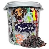 Lyra Pet® | 10 kg Rosinen + 30 L Tonne | Ganzjahres Wildvogelfutter | Futterrosinen für Wildvögel | Energiespendes Vogelfutter für Sommer & Winter | Vitaminreiches Streufutter | Geeignet für Balkon