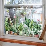 WandSticker4U®- wiederverwendbare Fensterbilder Frühling selbstklebend ZIMMERPFLANZEN grün (92x38 cm) I Fenstersticker Pflanzen Fensteraufkleber Wohnzimmer Schlafzimmer Küche Fenster Deko