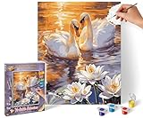 Schipper 609240923 Malen nach Zahlen – Verliebte Schwäne - Bilder malen für Erwachsene, inklusive Pinsel und Acrylfarben, 24 x 30 cm