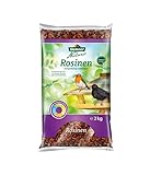 Dehner Natura Premium Wildvogelfutter, Rosinen Delikatesse, Futterrosinen, Ganzjahresfutter energiereich, hochwertiges Vogelfutter für Wildvögel, 2 kg