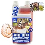 Amino Liquid I Aminosäuren Vitamin B komplex I Zusatzfutter Vitamin B12 I Zink Pferd I Muskelaufbau Pferd Stärkung Muskulatur I Regeneration Muskeln aufbauen ​alternativ zu Muskel Pulver Pferd 1L