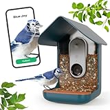 BIRD BUDDY® Smart Bird Feeder mit HD Kamera für schöne Nahaufnahmen und einzigartige Vogelbeobachtung