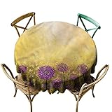 Das Leben ist einfach am meisten - Morello, Paulo/Frankreich, Mulo/Faller, SVEN