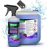Terma 6L Scheibenenteiser Spray fürs Auto Profiqualität Enteisungsspray macht Ihr Auto eisfrei scheibenenteiser enteiser scheibe