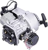 Ambienceo 49cc Motor 2-Takt Könnten Motor Und Einen Vergaser Pocket Bike Motor mit Vergaser Dirt Bike ATV Mini Quad (Modell-5)