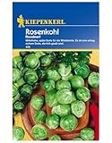Kiepenkerl Rosenkohlsamen Roodnerf - Ertragreiche Winterernte, Schmackhafte Mittelhohe Späte Kohlsorte