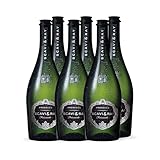 SCAVI & RAY Prosecco Frizzante DOC (6 x 0,75l) - fruchtig, frischer und trockener italienischer Prosecco - Perfekt geeignet für festliche Anlässe und Prosecco-Cocktails - (6 x 0,75l)