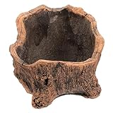 BESPORTBLE Beton Pflanzgefäß mit Vintage Baumwurzel Design Zement Blumentopf für Kleine Pflanzen Dekorativer Aufbewahrungstopf für Schreibtisch und Stil