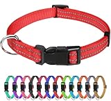 TagME Nylon Hundehalsband, Verstellbares Reflektierendes Hundehalsband mit Sicherheitsschnalle für Extra Kleine Hund, Rot, 1.5cm Breite