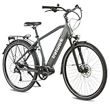 Tretwerk Sonic Pedelec 28 Zoll E Bike Trekkingrad 160-180 cm Elektrofahrrad Trekking 8 Gänge Damen Herren Fahrrad