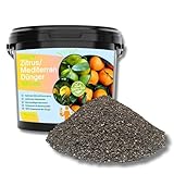 Rodopi Bio-Zitrusdünger & Mediterranpflanzen-Dünger Granulat 7-3-8 – 3 Monate Langzeitwirkung – 100% pflanzlich & vegan – Organischer NPK-Dünger – Ideal für Zitronenbaum, Olive & Bougainvillea 7kg