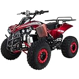 Original Actionbikes Kinder Elektro Quad S-10 I 𝟭𝟬𝟬𝟬 Watt Elektromotor - Ausdauernde 4 x 12 Volt 20AH Batterien - Drehgasgriff - Miniquad - Bis zu 20 km/h (Camouflage lackiert)