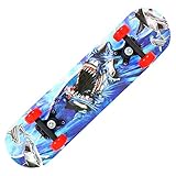 Wlauqueta Für Penny Board Double Kick Deck Rollbretter Konkave Longboard Rollbretter für junge Skifahrer Anfänger