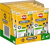 Pedigree DentaStix Daily Fresh Zahnpflegesnack für kleine Hunde – Hundeleckerli mit Aktivwirkstoffen für jeden Tag – 1 x 7 Stück (10er Pack),1.1 kg (1er Pack)