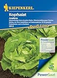 Kiepenkerl Profi-Line Kopfsalat Analena PowerSaat - Winterhartes Garten Saatgut für Große, Frischgrüne, Widerstandsfähige Salat-Köpfe – Langlebiges Gemüse Wintergemüse, Anbausicher Wintersalat