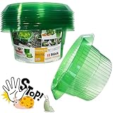 VDYXEW Upgrade Verstärkt Schneckenkragen Für Lhre Salatpflanzen Und Kohl，15 Stücke Schneckenabwehr Ohne Chemie，Schneckenkragen Schützt Pflanzen,Um Besser Zu Werden，Salatpflanzen Schutz aus Plastik